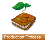 Production Process